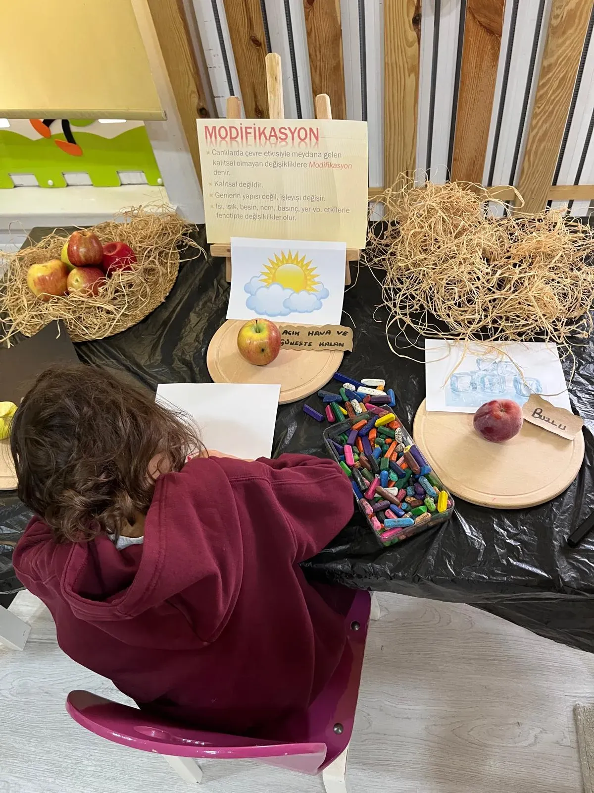 Batıkent Kreş Ankara - Galeri 7